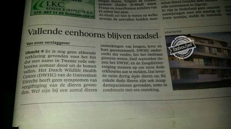 Het Noordhollands Dagblad ziet ze vliegen