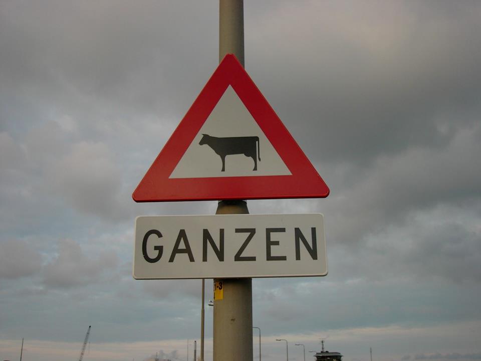 Je zou ze maar zien vliegen!