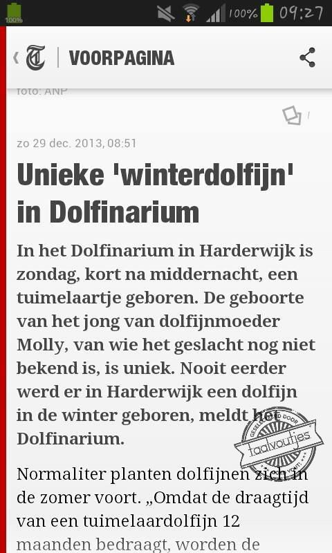 Moeder dolfijn is er nog niet helemaal over uit ...