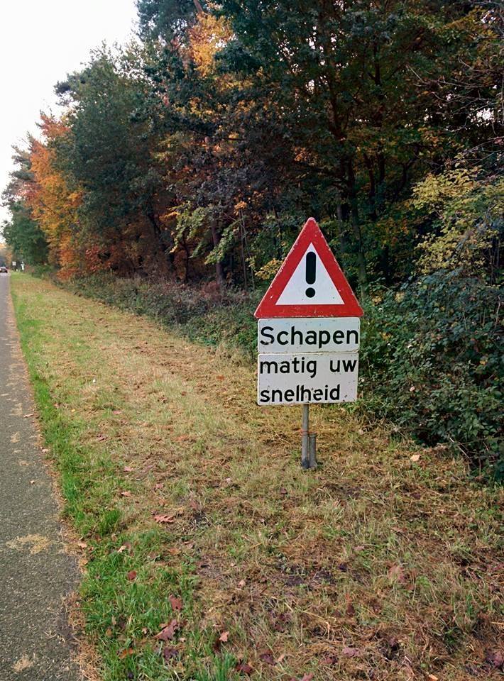 2. Maar we zijn net zo lekker op dreef!