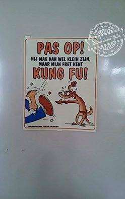 Mijn fretten kennen geen kung fu, maar zijn er meesters in