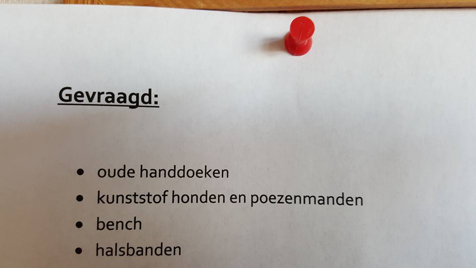 Anders kunnen ze niet samen met de katten.