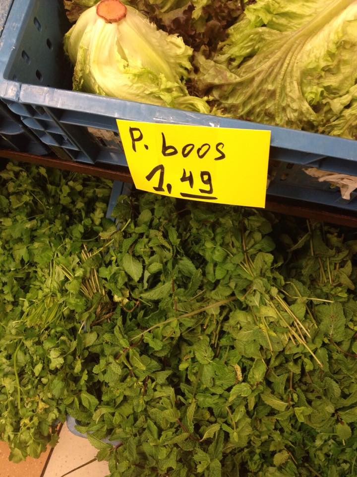 Vast met de verkeerde peen uit bed gestapt.