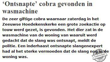 Sluit ramen en deuren, de slangenexpert is los!