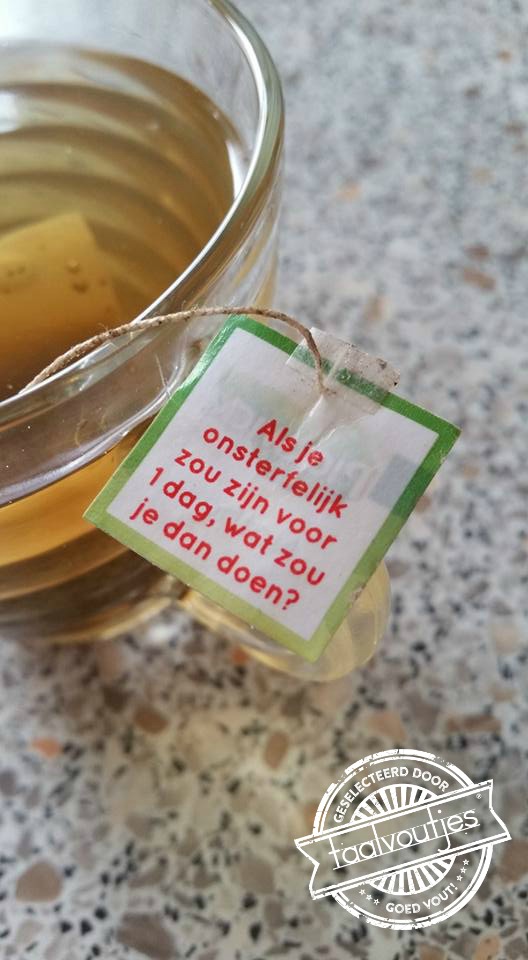 Ik zou geen eendagsvlieg zijn!