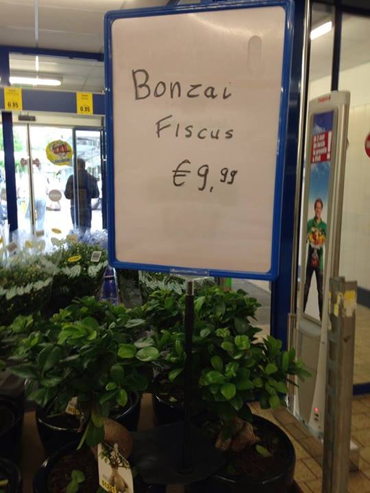 Hoeveel blaadjes moet je dan opgeven bij de Belastingdienst?