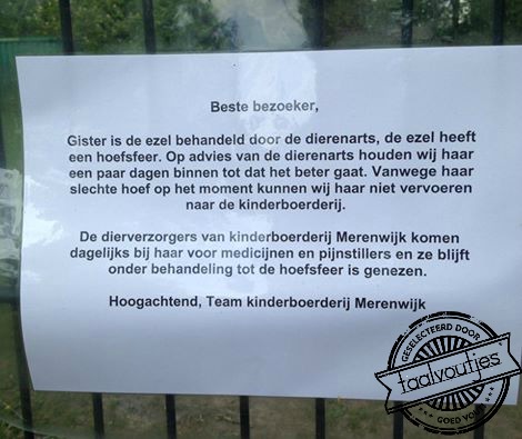 De juiste ambiance heelt elk euvel.