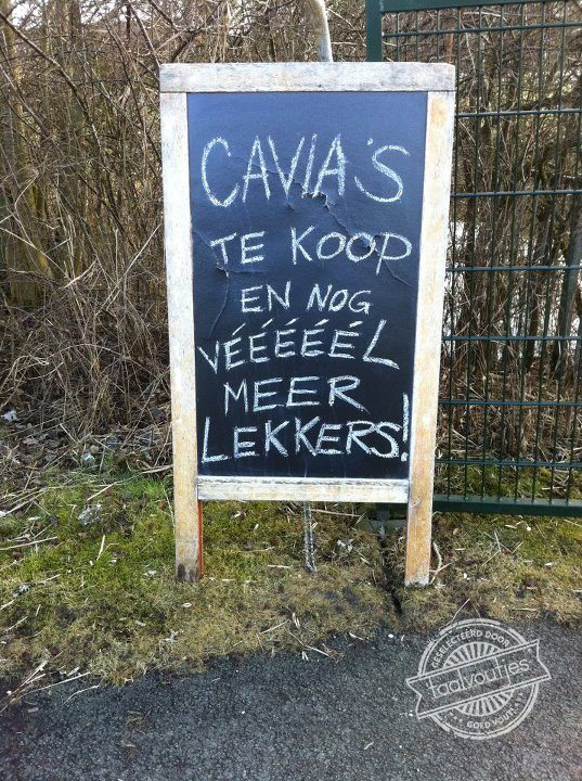 Helaas zijn niet alle dieren even populair ...