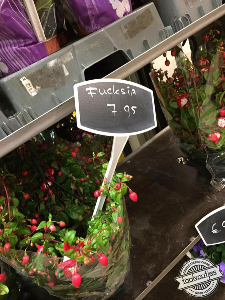 Waar het hoofd vol van is ...