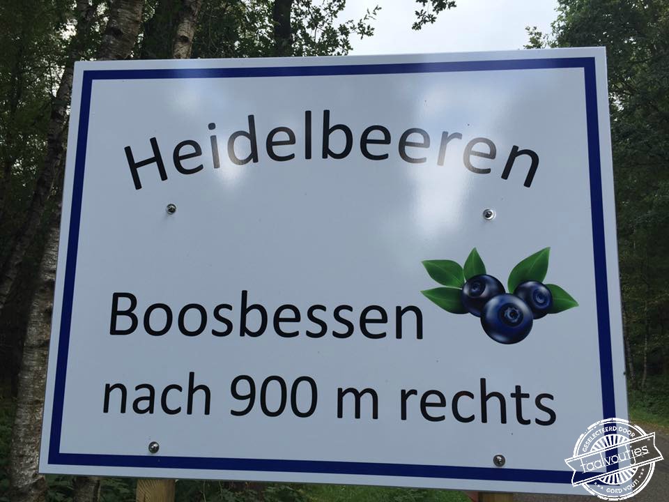 Familie van de framboos?