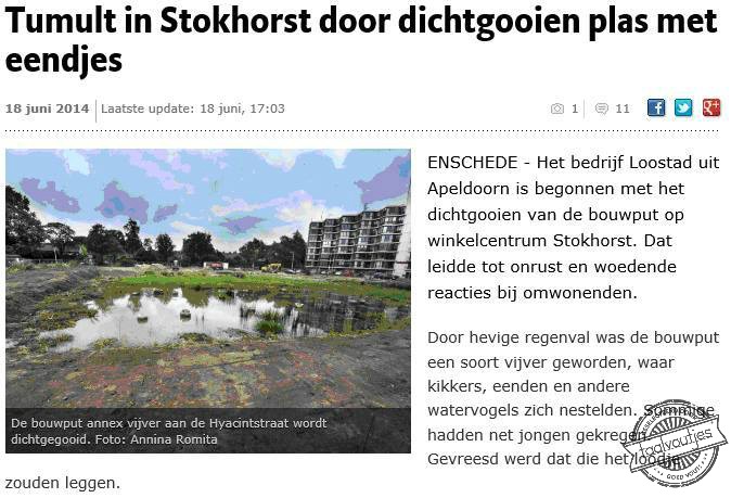 Hoeveel eendjes heb je daar wel niet voor nodig?