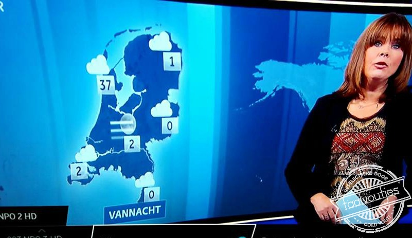 Ik ga direct naar Alkmaar verhuizen.