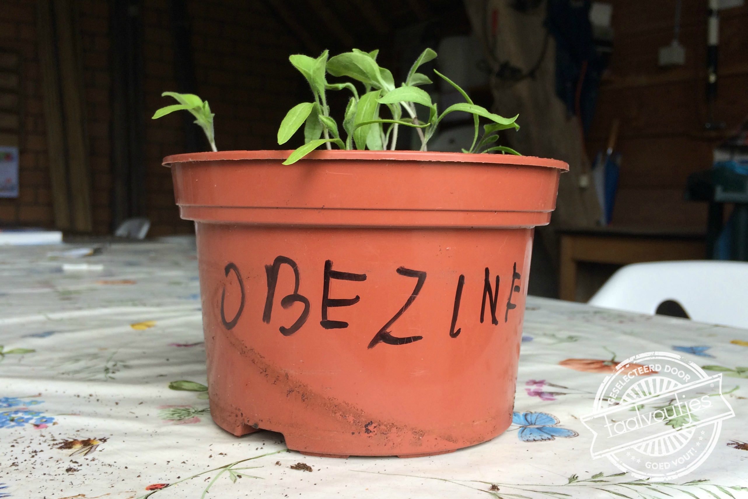 Ik was eigenlijk op zoek naar koesjet.