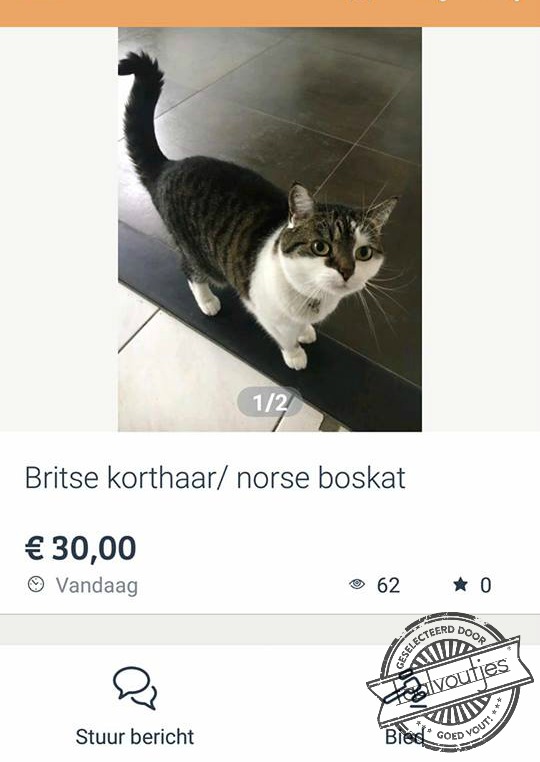 Ja, dan snap ik wel dat je hem verkoopt.