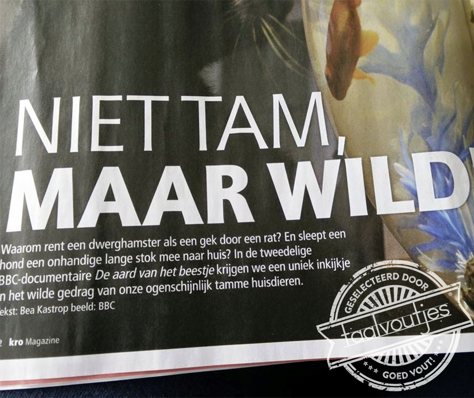 Na afloop is-ie vast geratbraakt.