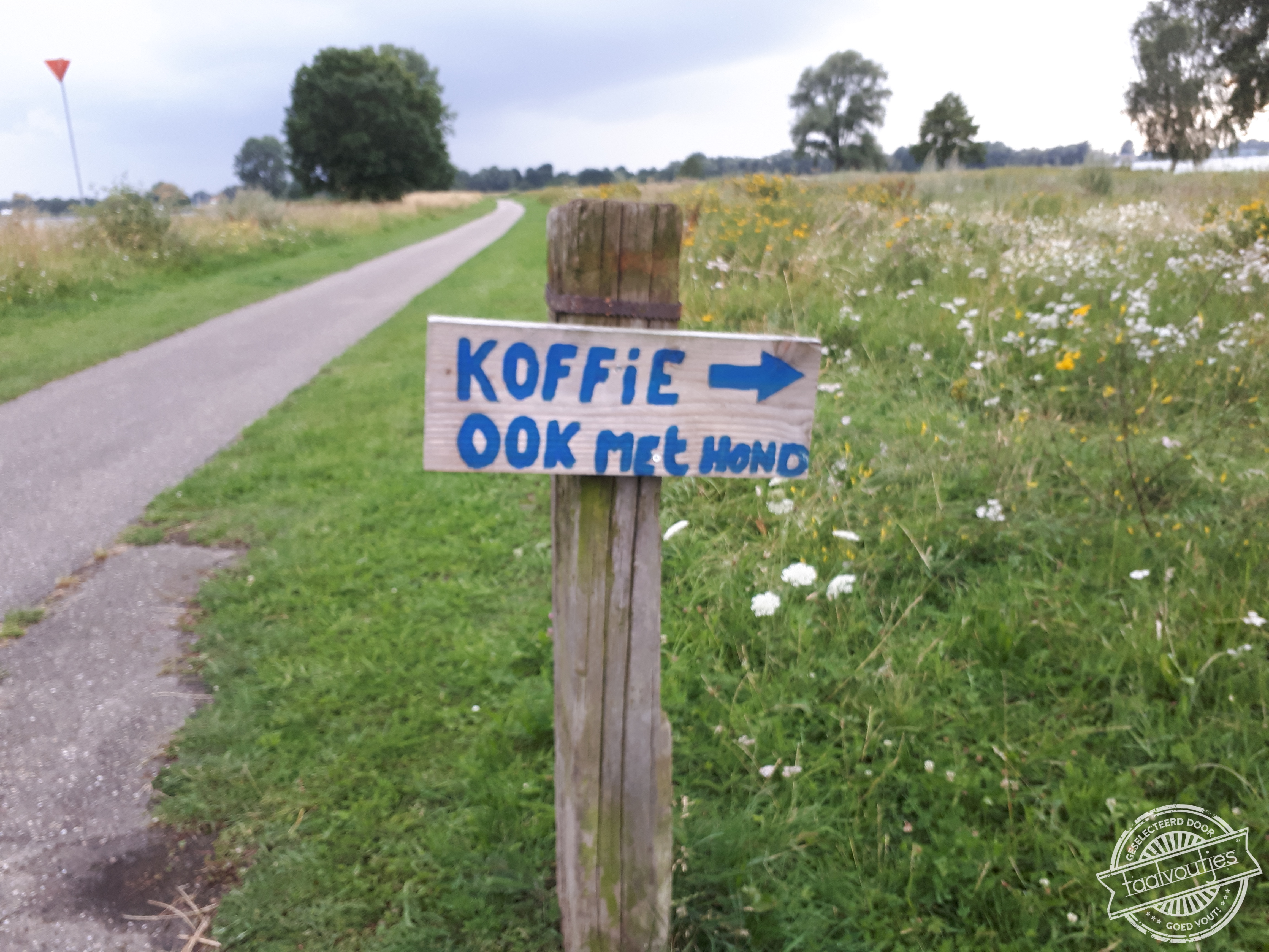 Doe mij maar gewoon met appeltaart.