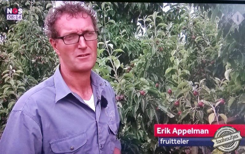 Helaas handelt-ie in peren.