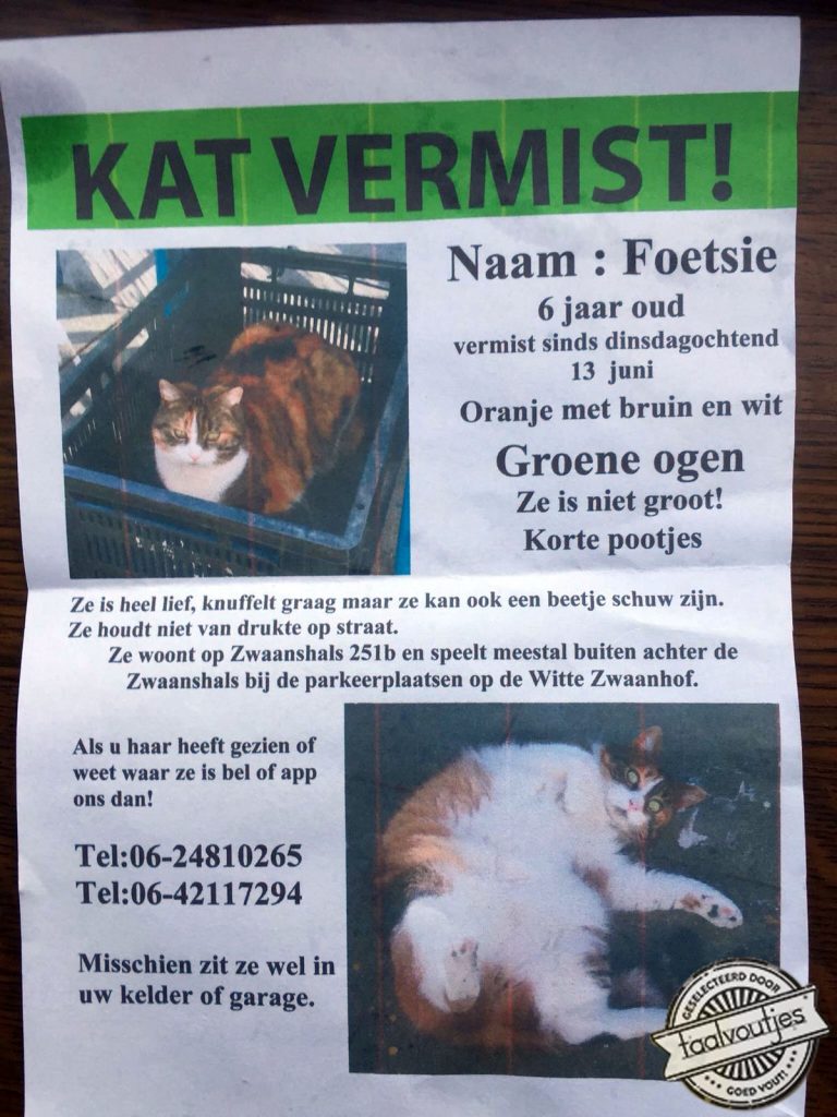 Dan vraag je er ook om.