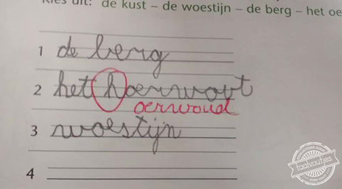 Daar zie je door de bomen heel andere dingen.