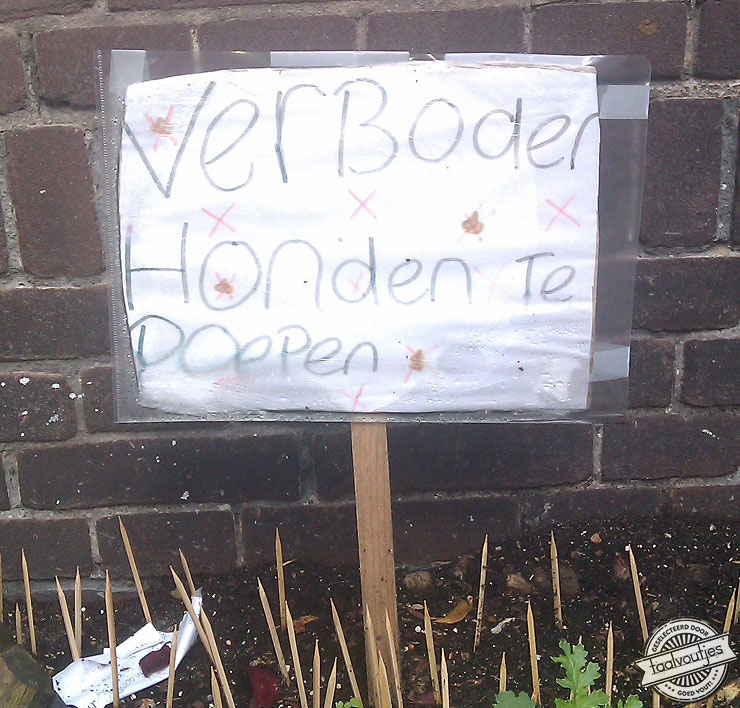 Stront daarentegen …