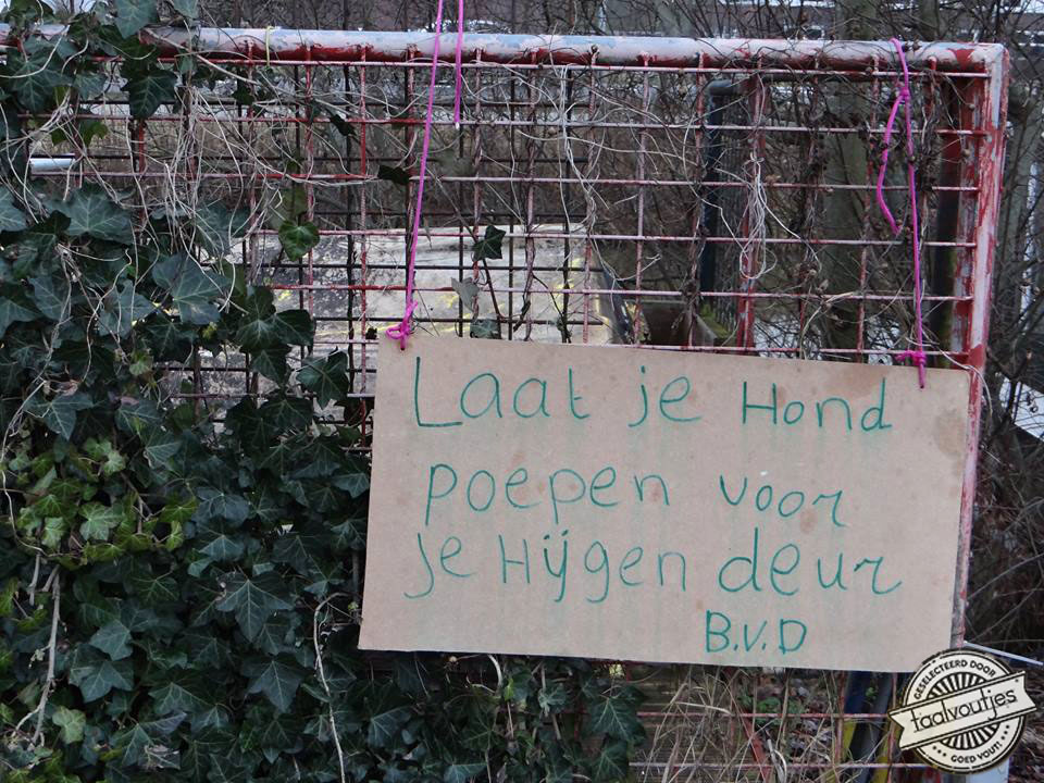 Wat bedoel je precies?