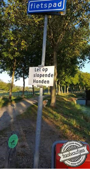 Helpen alle bankjes de vernieling in.