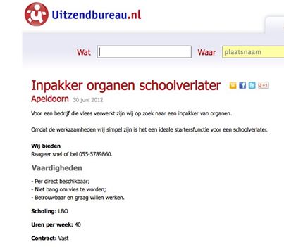 Je moet niet vies zijn van pas afgestudeerden