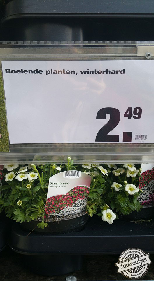 Ik kan er de hele dag naar blijven kijken!