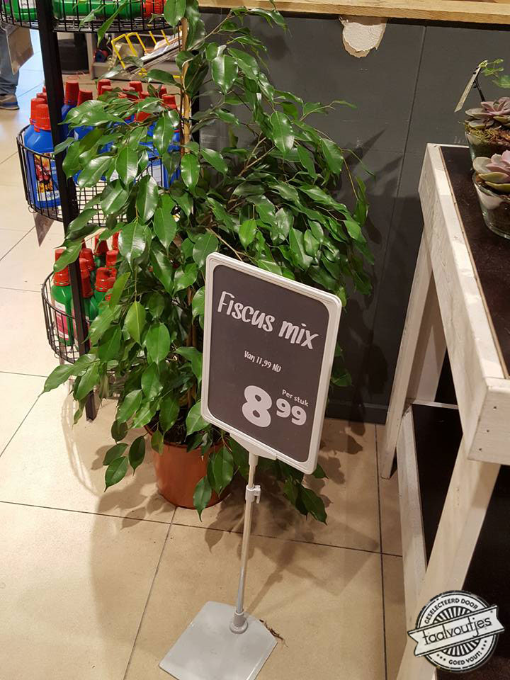 Wie zegt dat geld niet aan bomen groeit?