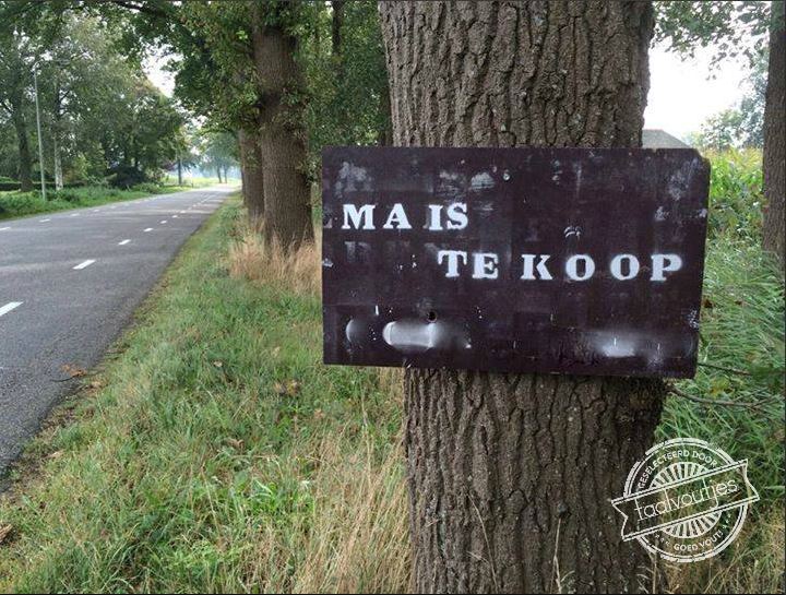 Die wil wel heel graag van zijn moeder af.