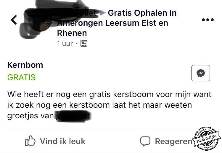 Gratis op te halen in Noord-Korea.