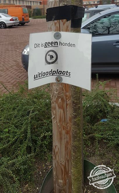 Terug in de kofferbak, dus!