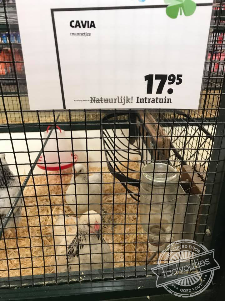 Met een behoorlijke identiteitscrisis, zo te zien.