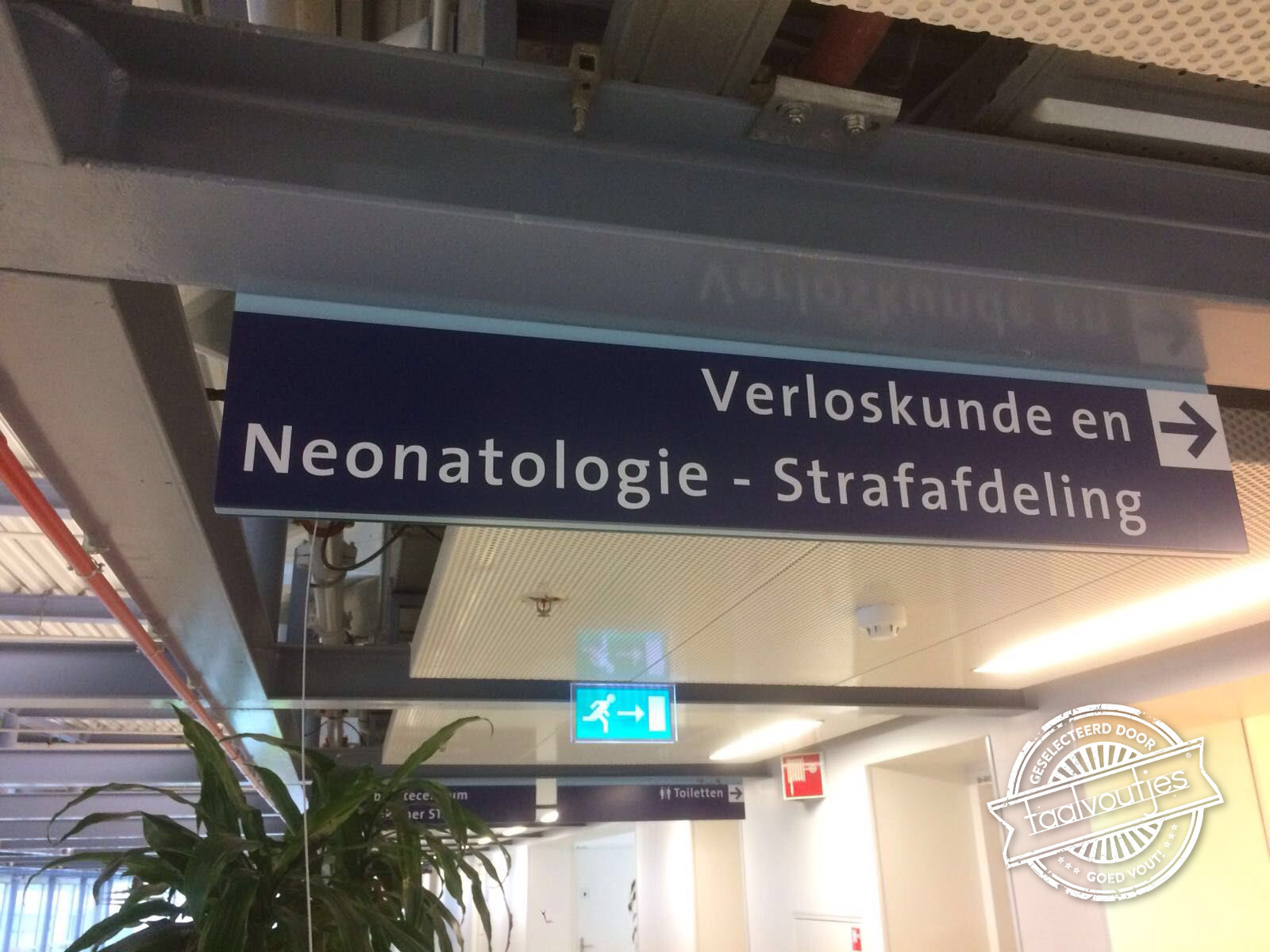 Ben je net geboren, moet je nu al in de hoek …