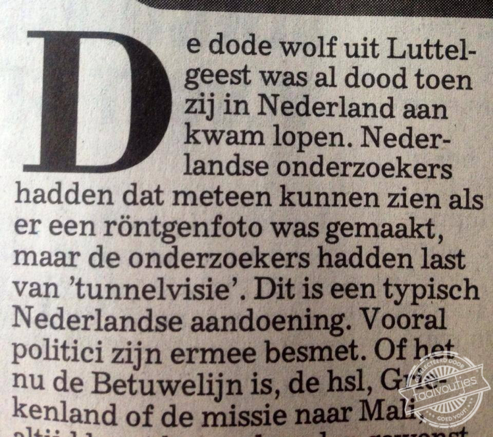 De wolf in Nederland is tot daaraantoe, maar een zombiewolf?