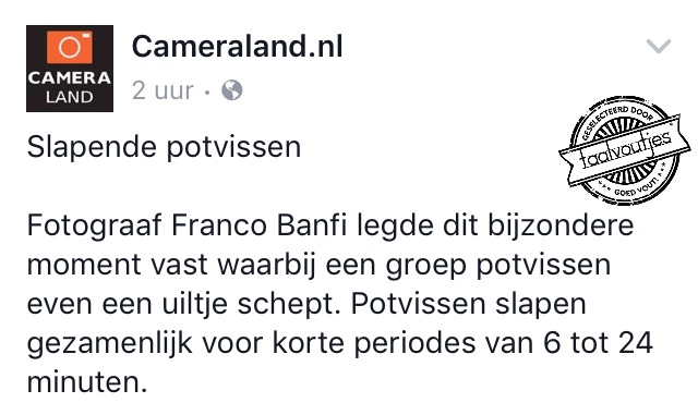 Daar knap je toch zo van op!