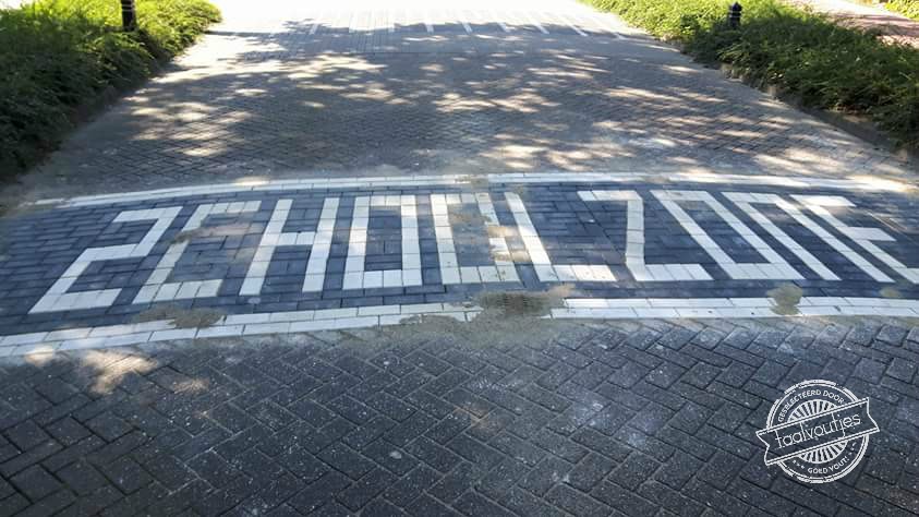 Te c(h)ool voor school