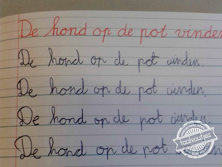 Dat slaat de spijker in z'n kop!