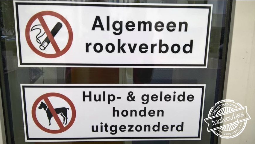 De shagrussellterriër mag dus gewoon zijn gang gaan ...