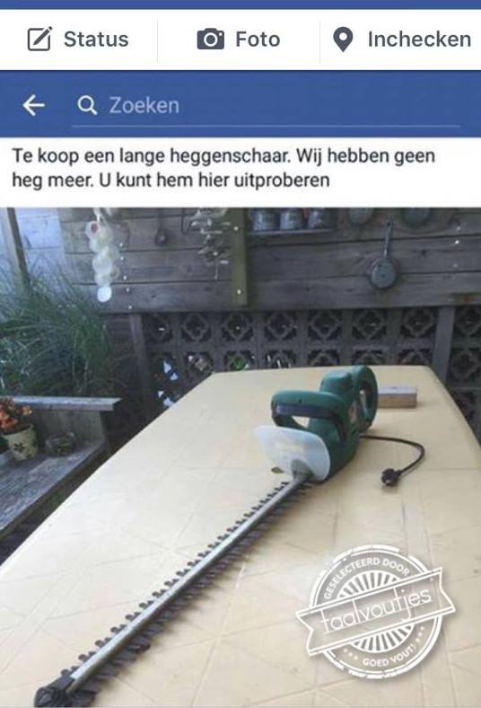 Op de kamerplant dan maar?