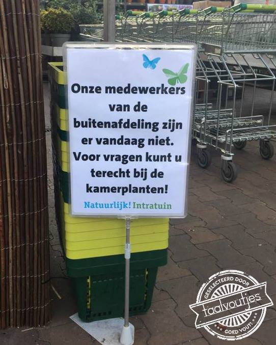 Vooral ficussen schijnen heel behulpzaam te zijn.
