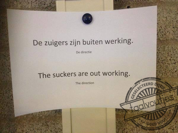 Toch zielig voor ze dat het zo hard regent.