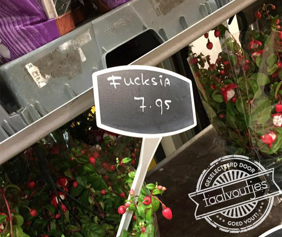 Dat is een plantje met bijbedoelingen.