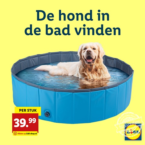 Iedereen weet toch dat het 'het hond' is ...