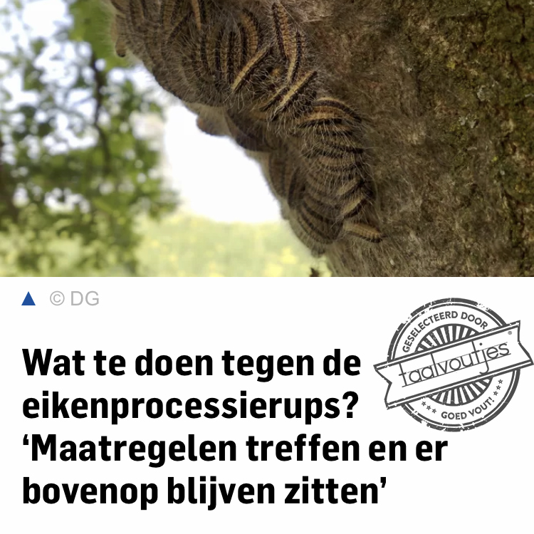 Wie zijn billen brandt ...