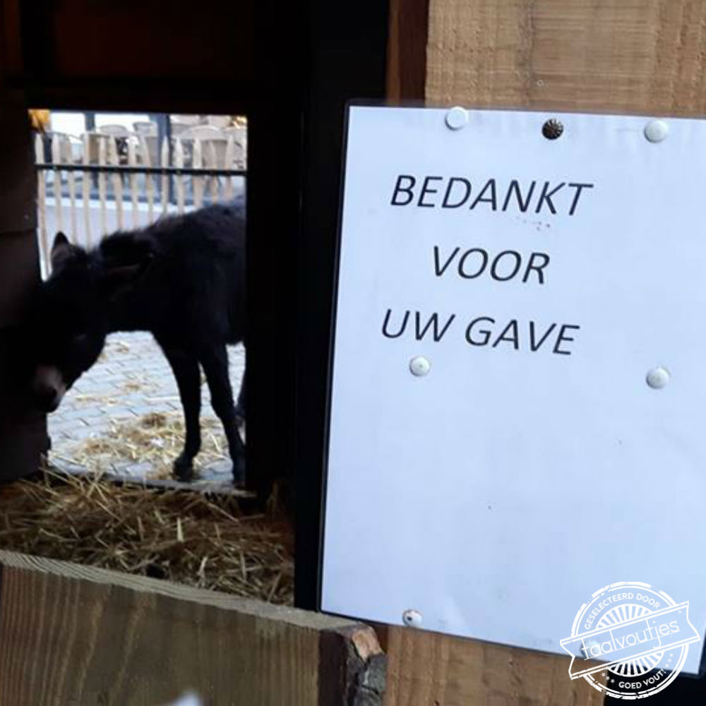 Ik wist dat je dat ging zeggen.