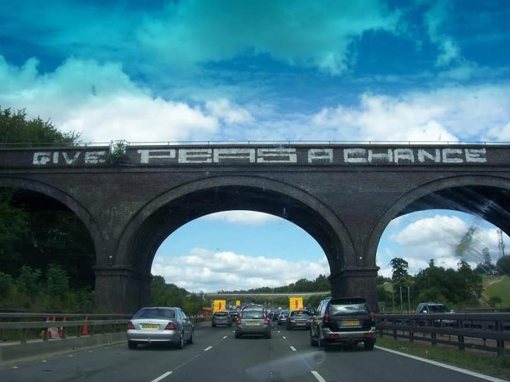 Inderdaad, geef erwten een kans!