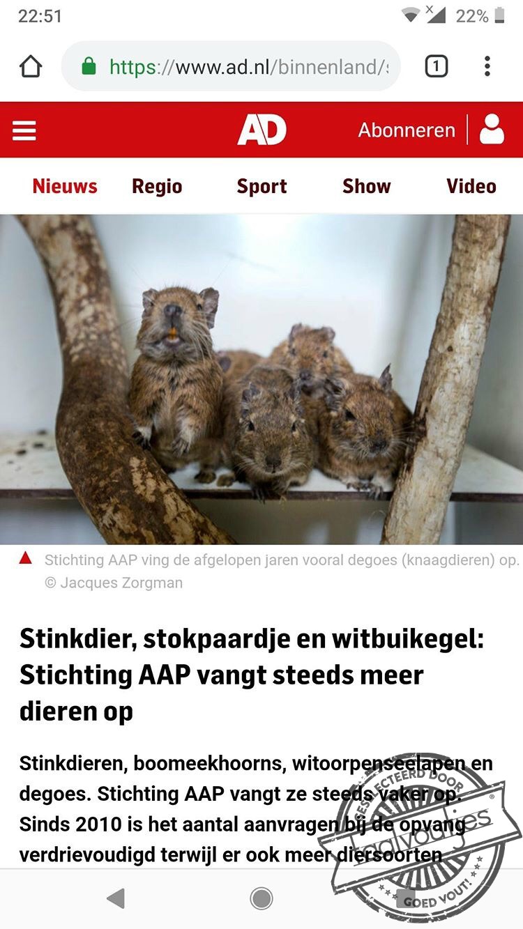 Afgedankt door kleuters.