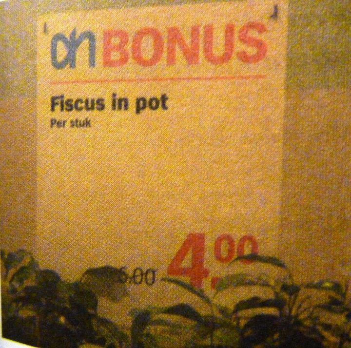 Hoezo, geld groeit niet aan bomen?!