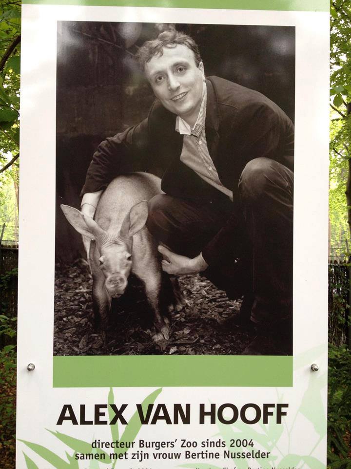 De foto is genomen net nadat ze haar oogleden heeft laten corrigeren...